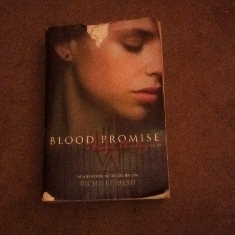 Blood promise by vampire academy